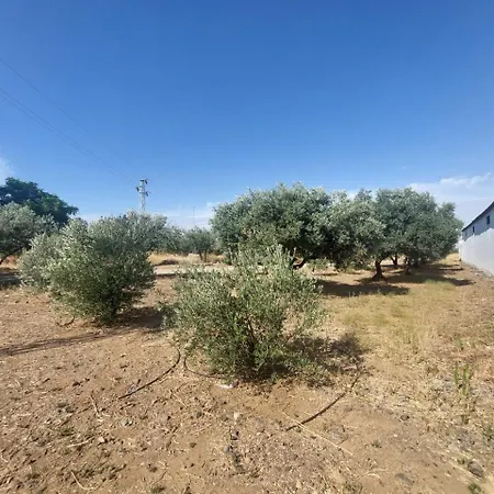 Cortijo Cruces - Sevilla Сasa de vacaciones *