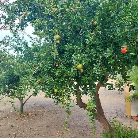 Cortijo Cruces - Sevilla Сasa de vacaciones *