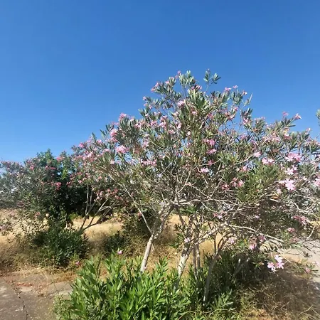 Cortijo Cruces - Sevilla
