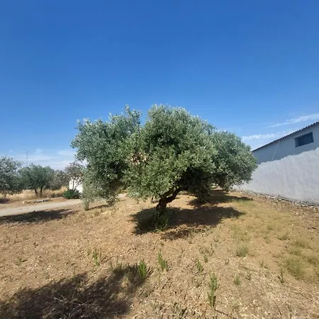 Cortijo Cruces - Sevilla Guillena