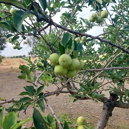 Сasa de vacaciones Cortijo Cruces - Sevilla Guillena