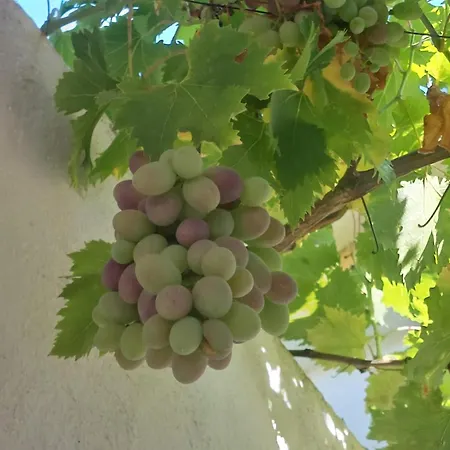 Cortijo Cruces - Sevilla