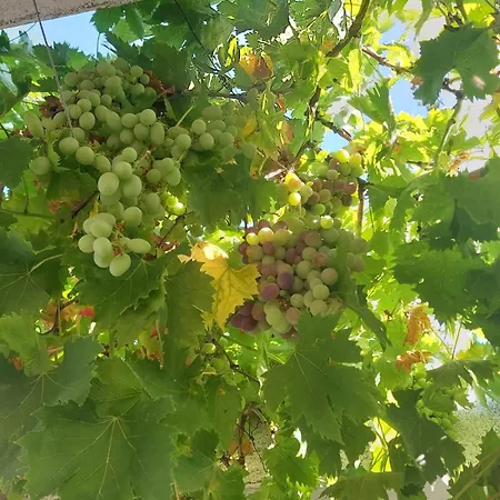 Cortijo Cruces - Sevilla Сasa de vacaciones *