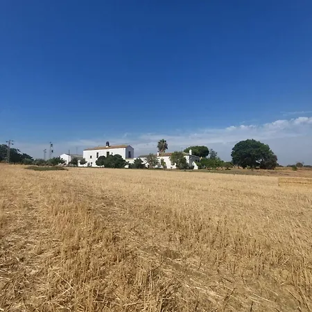 Cortijo Cruces - Sevilla Guillena